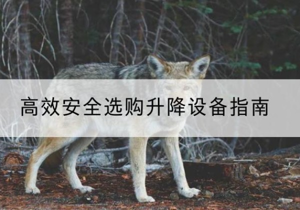 松北升降货梯厂家推荐-*安全选购升降设备指南