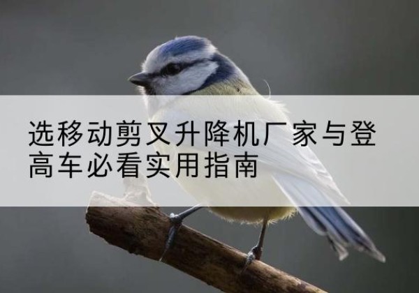 松北电动升降机厂家-选移动剪叉升降机厂家与登高车必看实用指南