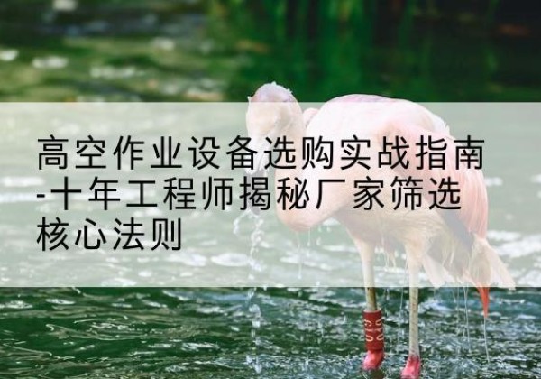 松北剪叉式升降机厂家-高空作业设备选购实战指南-十年工程师揭秘厂家筛选核心法则